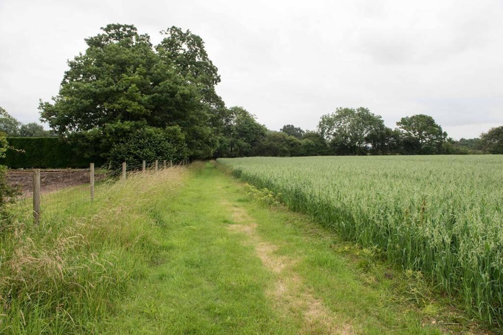 Immaculate Barn Annexe Close To Stansted Airport Great Dunmow Exteriér fotografie