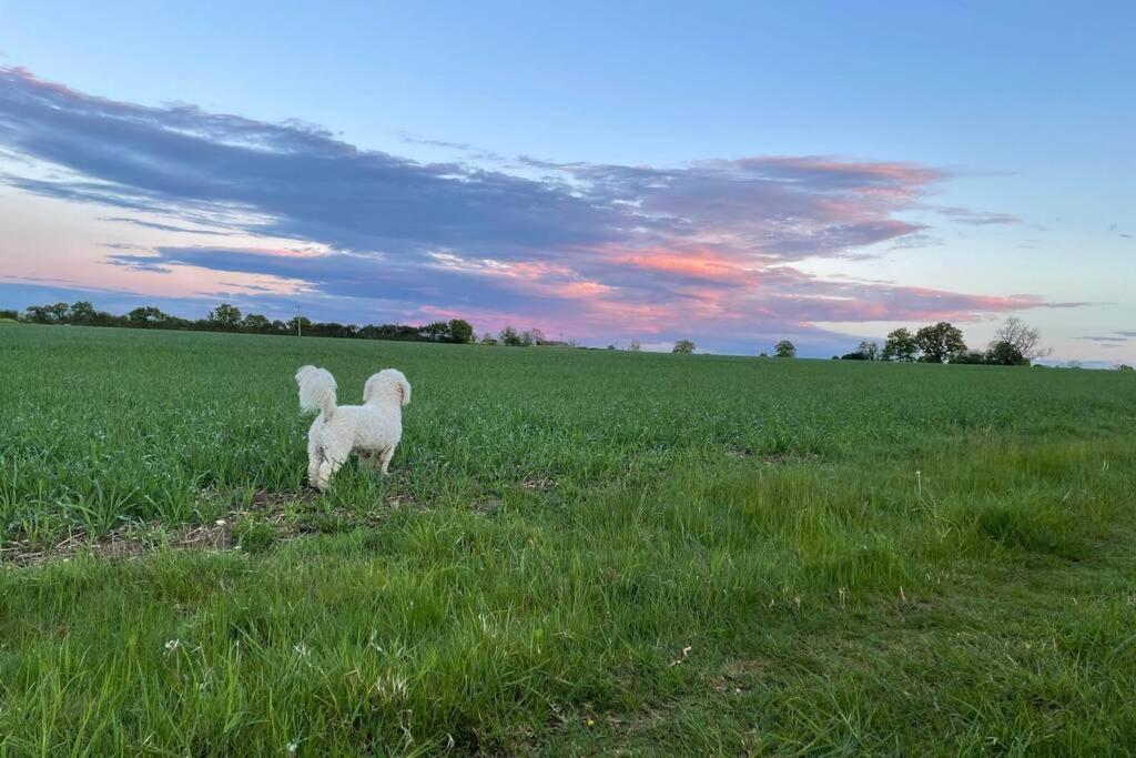 Immaculate Barn Annexe Close To Stansted Airport Great Dunmow Exteriér fotografie